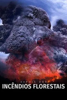 Depois dos Incêndios Florestais (2020)